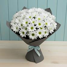 Букет цветов из:  Хризантемы #REPLACE_PRED# Инжавино
